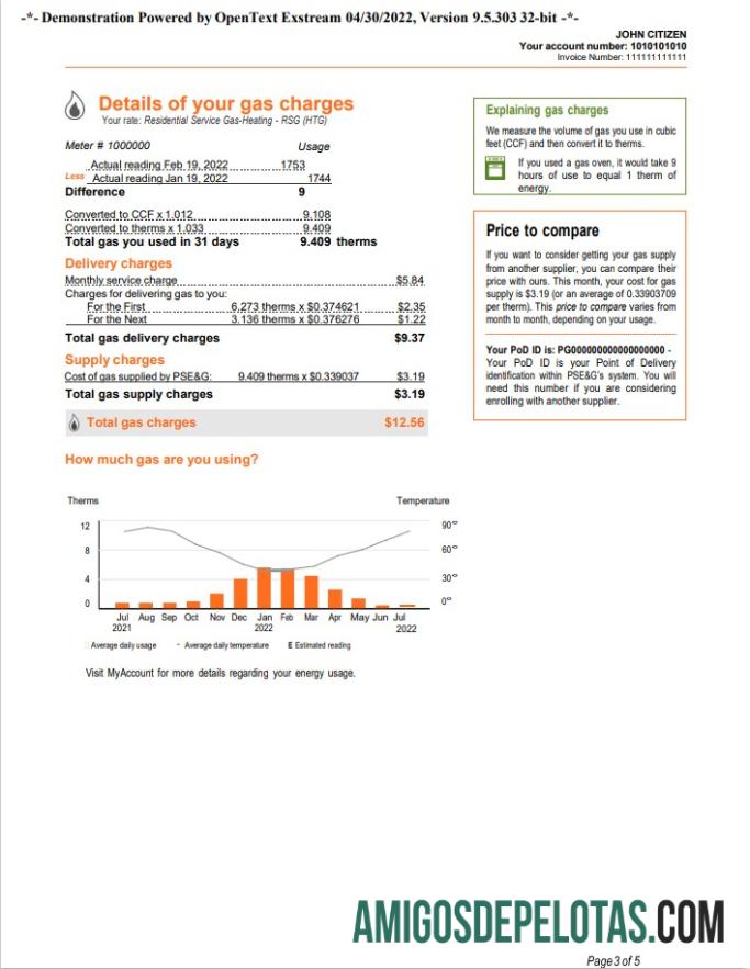 imprimível Conta de serviços públicos PSEG dos EUA, Nova York, modelo Word e PDF, 5 páginas 3